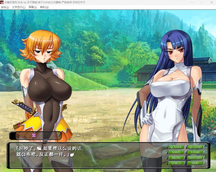 【大拔作ADV汉化全CV】对魔忍雪风【安卓+PC】AI精翻汉化版+全CG回想【新汉化900M】